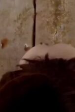 Bokep Indo Main Sama Bocil Di Pinggir Pantai