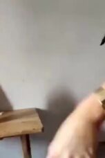 Bokep Viral Review produk pelumas langsung praktek