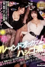 Mizuki Yayoi Waka Misono Malam Yang Liar di Bar Karaoke